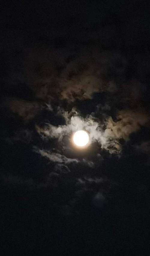 今天晚上的月亮的相关图片